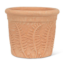 Load image into Gallery viewer, Fern Roll Rim Planter
