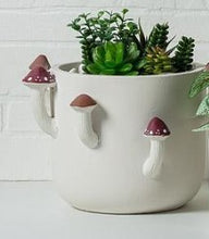 Load image into Gallery viewer, Mushroom Planters