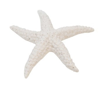 Little White Starfish