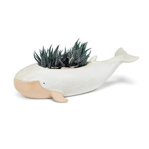 Large Long Whale Planter - Abbott