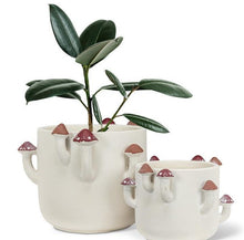 Load image into Gallery viewer, Mushroom Planters