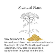 Load image into Gallery viewer, Natural Mustard Bath Soak