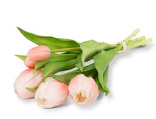 Load image into Gallery viewer, Bella Tulip Bundles - 3 Colors