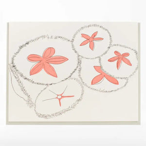 Card: Sand dollar - Porchlight Press