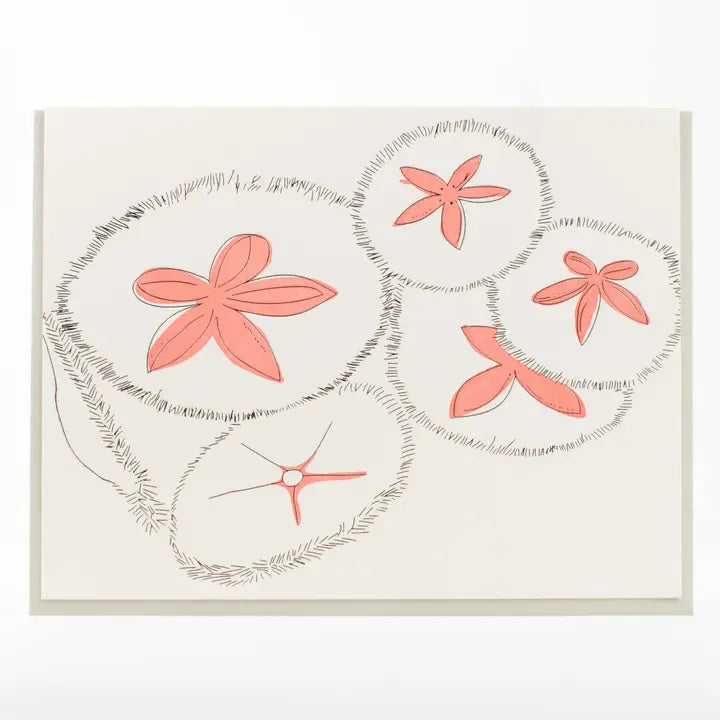 Card: Sand dollar - Porchlight Press