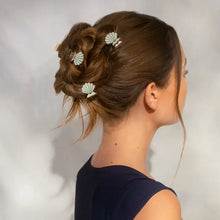 Load image into Gallery viewer, Metal Clam Shell Hair Clips 2pc - Kitsch