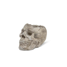 Load image into Gallery viewer, Skull Planter or Tealight Holder - Abbott