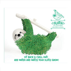 Sloth Grow-A-Plant