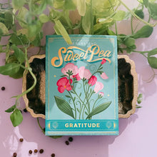 Load image into Gallery viewer, Everlasting Sweet Pea (Gratitude) - Floriography Seed Packet