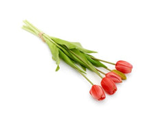 Load image into Gallery viewer, Tulip Bundles - 4 Colours
