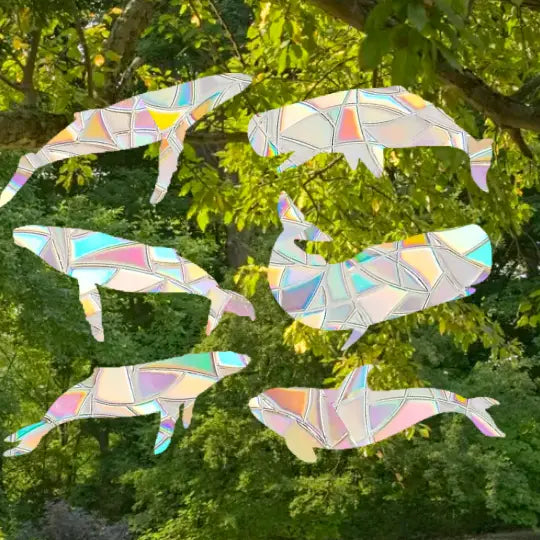 Whale Shape Suncatcher Pack - Mustard Tiger
