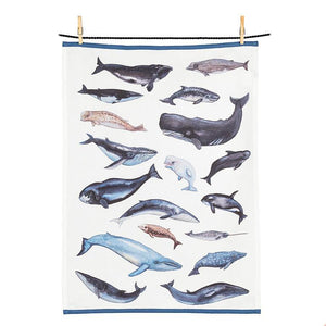 Whale Kitchen Towel - Abbott