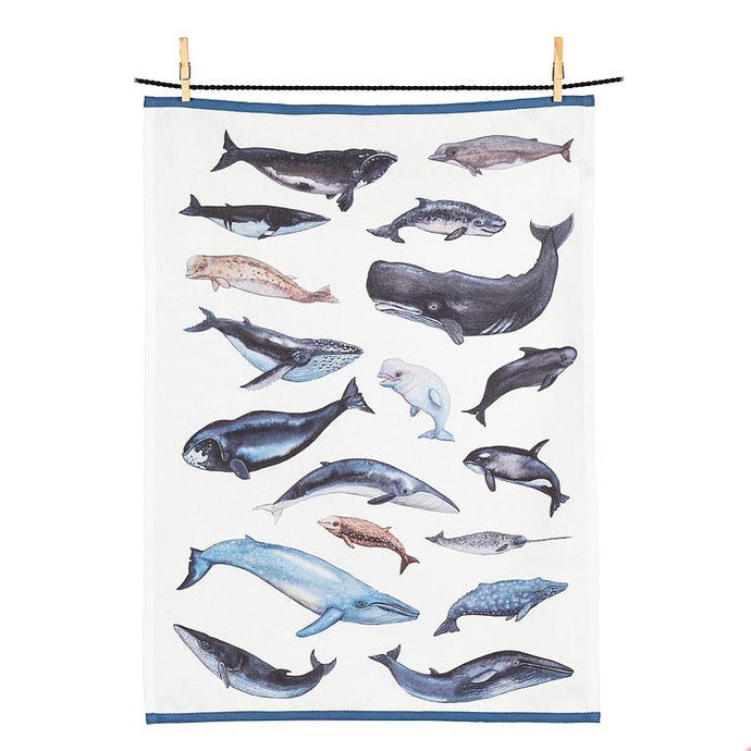 Whale Kitchen Towel - Abbott