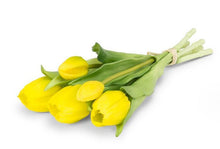 Load image into Gallery viewer, Bella Tulip Bundles - 3 Colors