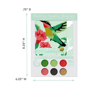 Mini Hummingbird Paint-By-Numbers Kit