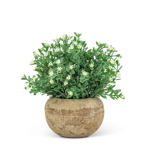 White Flowering Plant Pot - Abbott