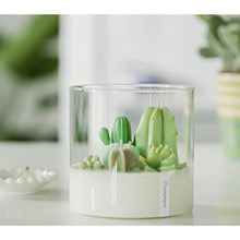Load image into Gallery viewer, Large Terrarium Candle - 3 Wick - Assorted Scents