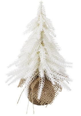 White Fir Mini Tree - Christmas