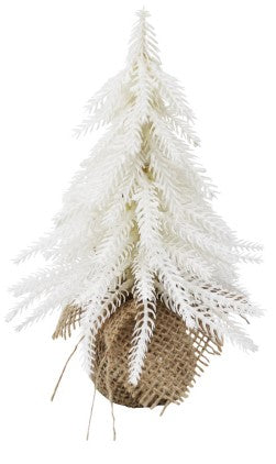 White Fir Small Tree - Christmas