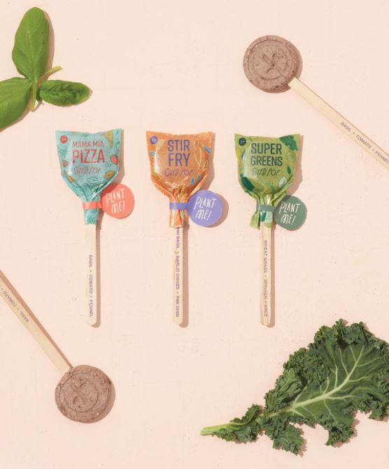 Culinary - Seed Pops - 3 Types