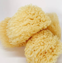 Load image into Gallery viewer, Cure Sea Sponges