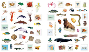 Outdoor School Spot & Sticker Oceans - Sticker Book
