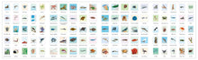 Load image into Gallery viewer, Outdoor School Spot &amp; Sticker Oceans - Sticker Book