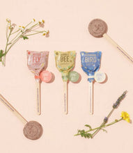 Load image into Gallery viewer, Pollinator Seed Lollipops - 3 Types