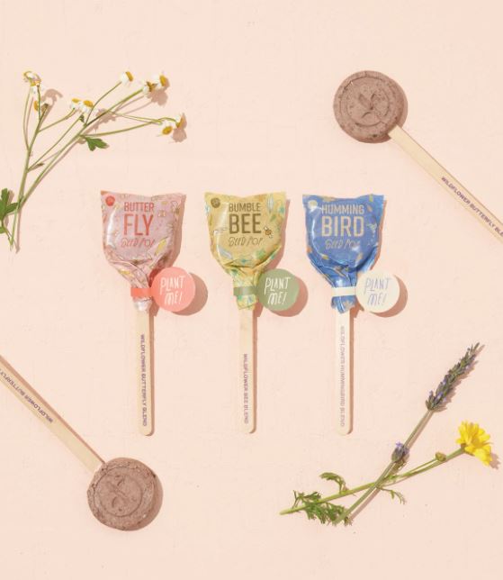 Pollinator Seed Lollipops - 3 Types