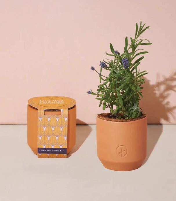 Live Well Lavender - Tiny Terracotta Kit