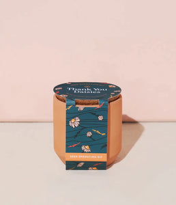 Thank You Daisies -Tiny Terracotta Kit