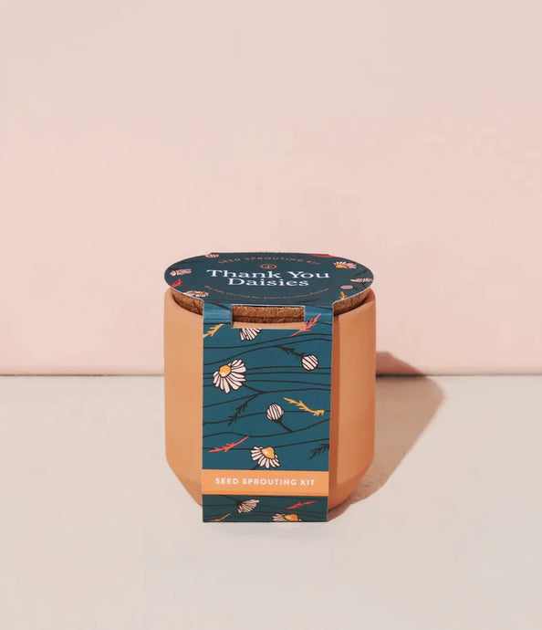 Thank You Daisies - Tiny Terracotta Kit