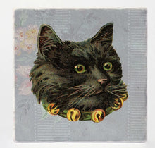 Load image into Gallery viewer, Fancy Ass Cats Coaster Set Of 4