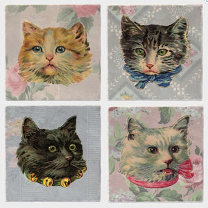 Fancy Ass Cats Coaster Set Of 4