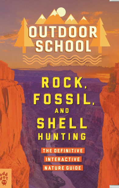 Outdoor School: Rock, Fossils and Shell Hunting - Books