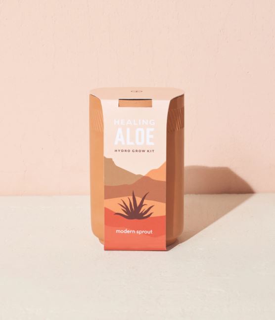 Aloe - Terracotta Kit