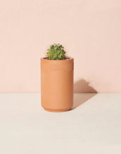 Load image into Gallery viewer, Cactus - Terracotta Kit