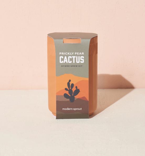 Cactus - Terracotta Kit
