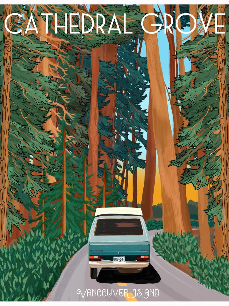 Cathedral Grove - Posters By Capri