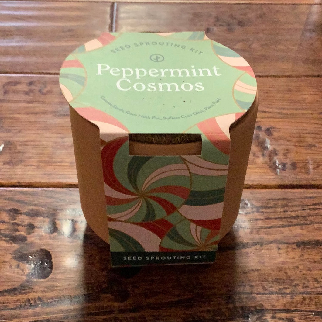 Peppermint Cosmos - Tiny Terracotta Kit