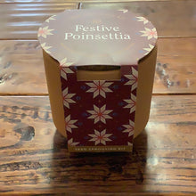 Load image into Gallery viewer, Festive Poinsettia - Tiny Terracotta Kit