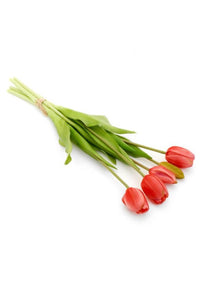 Tulip Bundles - 3 Colours